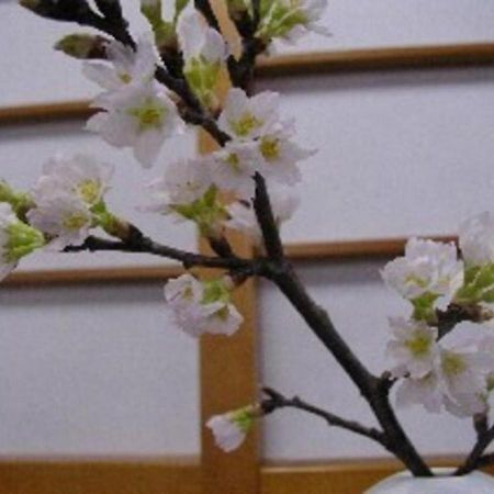 Wakaba Ryokan / Vacation Stay 29370 酒田市 エクステリア 写真
